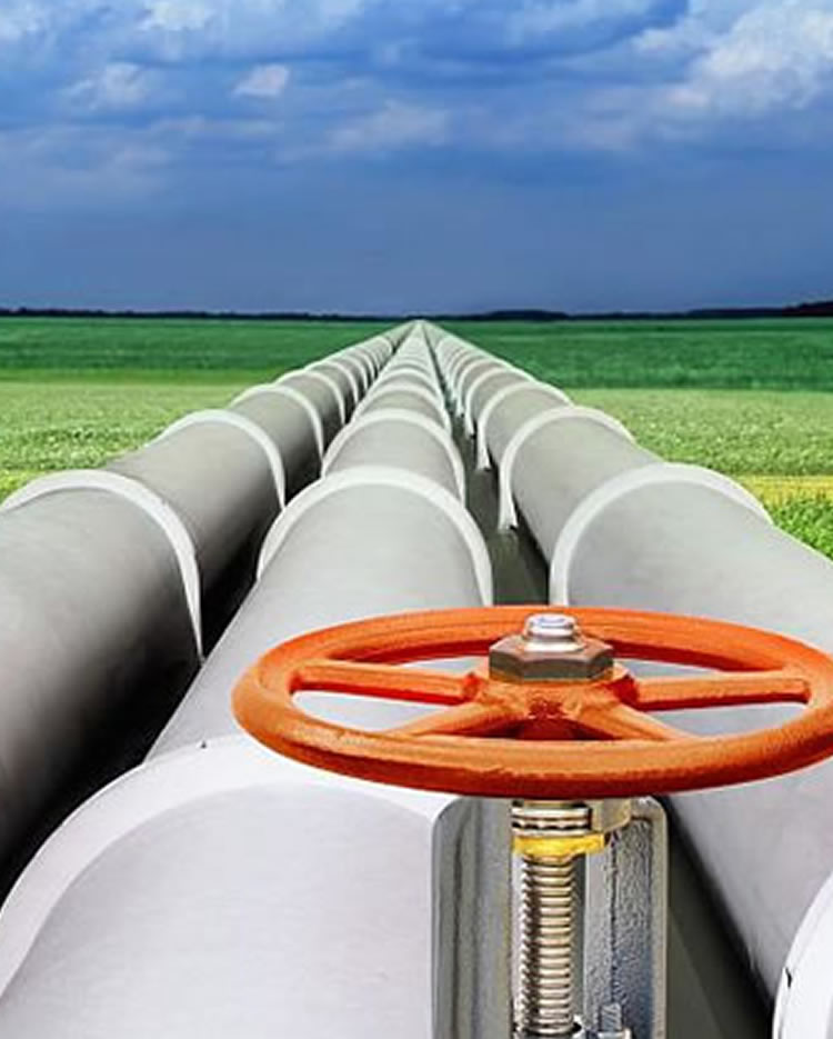 The East African Crude Oil Pipeline (EACOP) Project